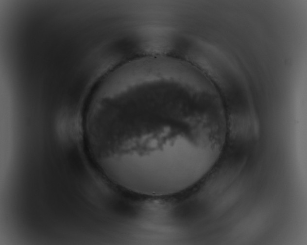 X0000095670634200801081209