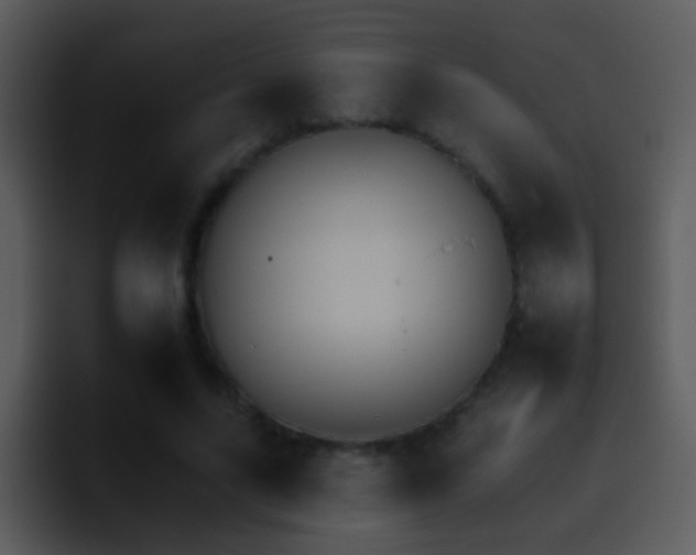 X0000095670635200801081209