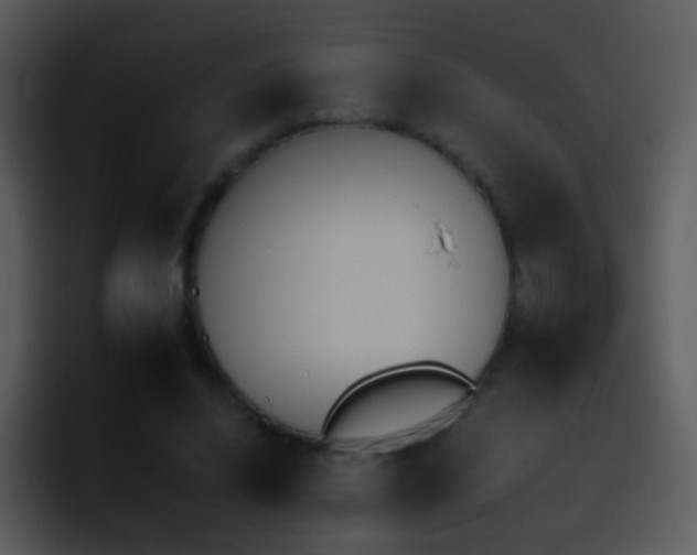 X0000095670636200801081209