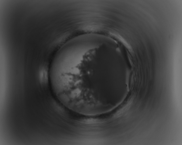 X0000095670637200801081209