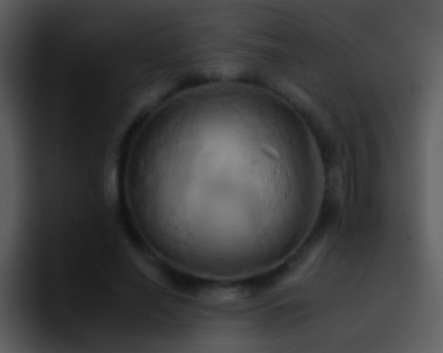 X0000095670638200801081209