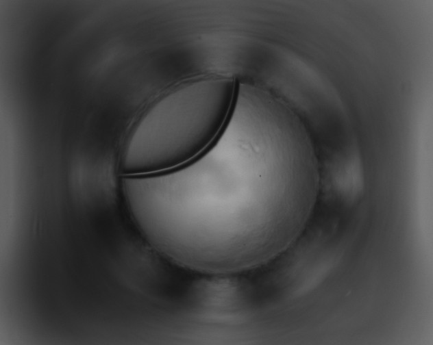 X0000095670639200801081209