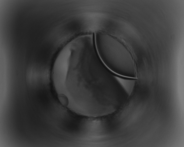 X0000095670640200801081209