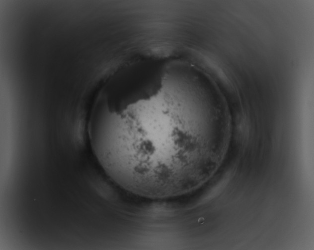 X0000095670641200801081209