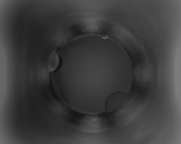 X0000095670642200801081209