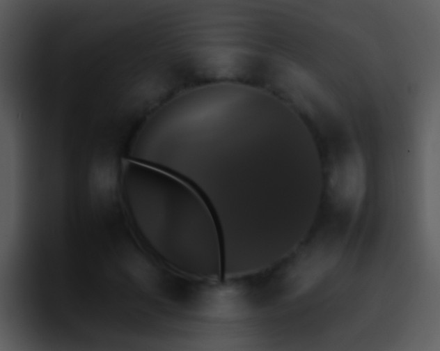 X0000095670643200801081209