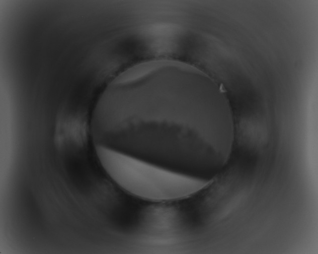 X0000095670644200801081209