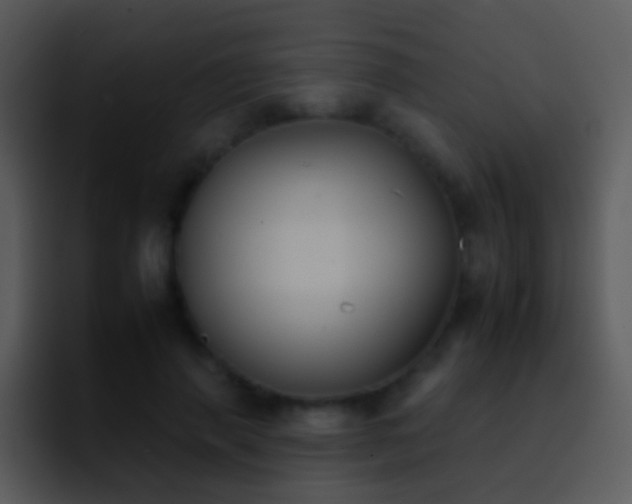 X0000095670645200801081209