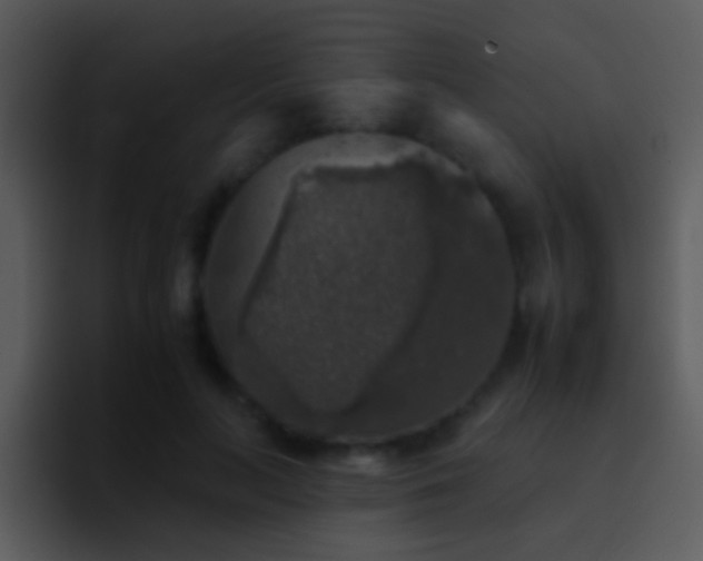 X0000095670647200801081209