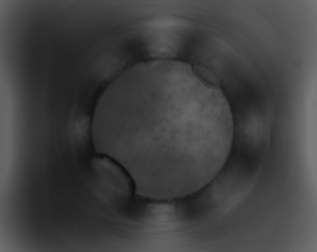 X0000095670649200801081209