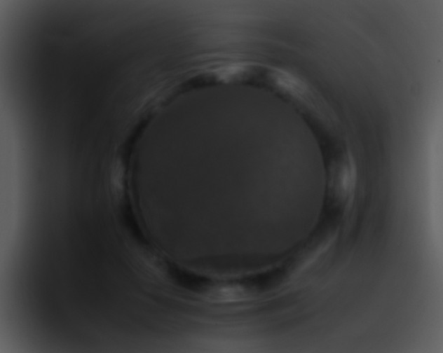 X0000095670650200801081209