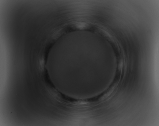 X0000095670651200801081209