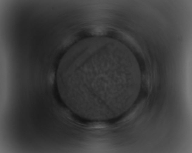 X0000095670652200801081209