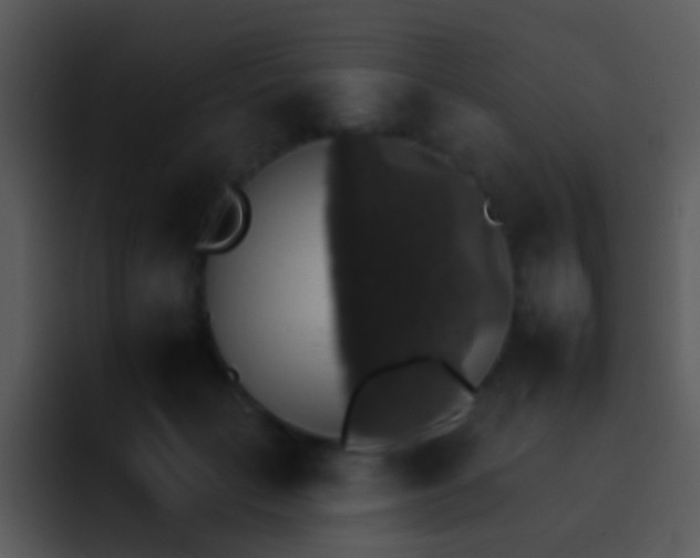 X0000095670653200801081209