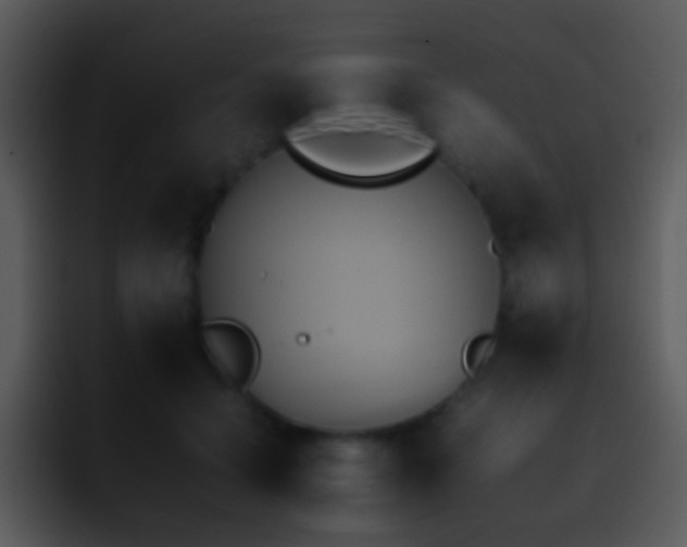 X0000095670654200801081209