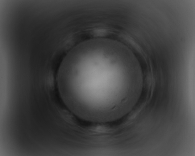 X0000095670655200801081209