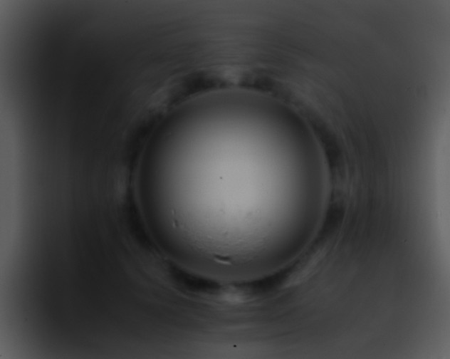 X0000095670656200801081209