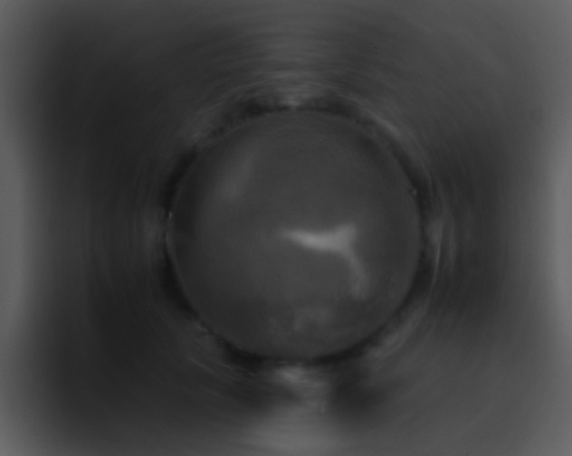X0000095670657200801081209