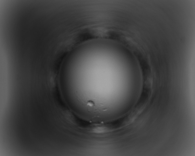 X0000095670658200801081209