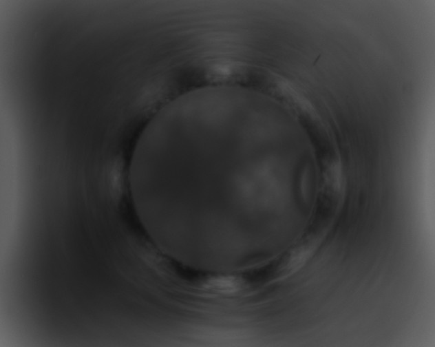 X0000095670659200801081209