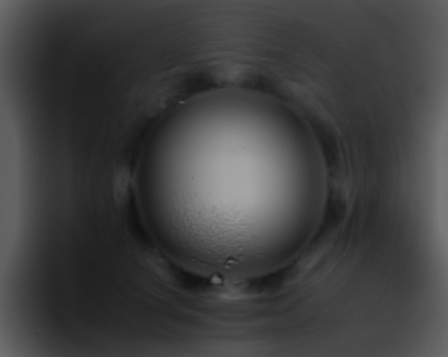X0000095670660200801081209