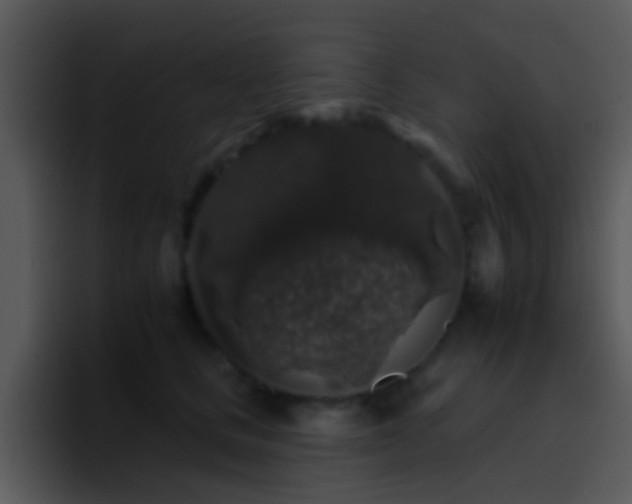 X0000095670661200801081209
