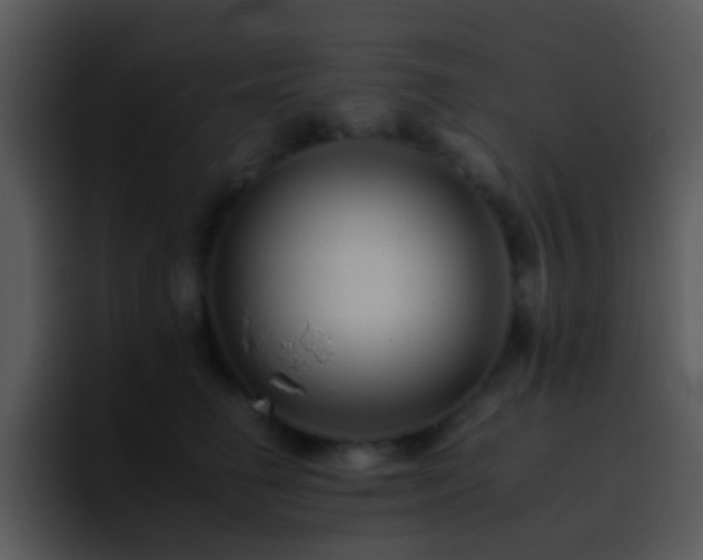 X0000095670662200801081209
