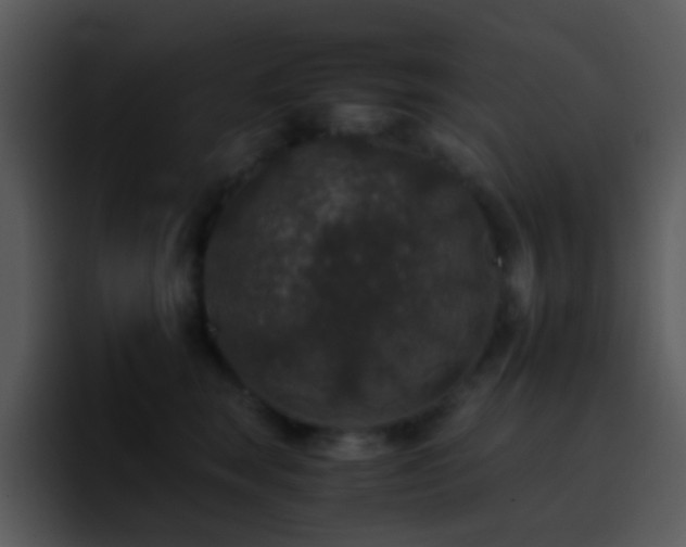 X0000095670663200801081209