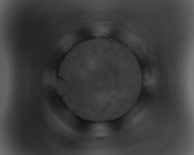 X0000095670664200801081209
