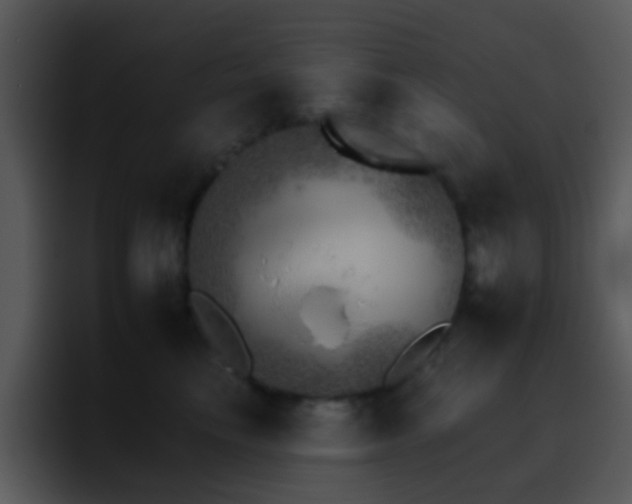 X0000095670665200801081209