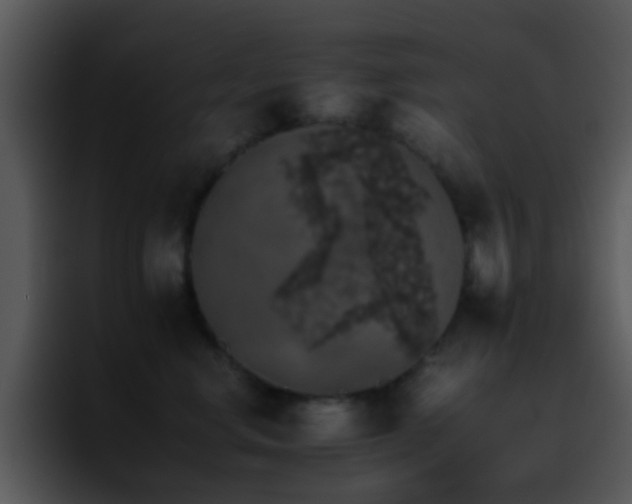 X0000095670668200801081210