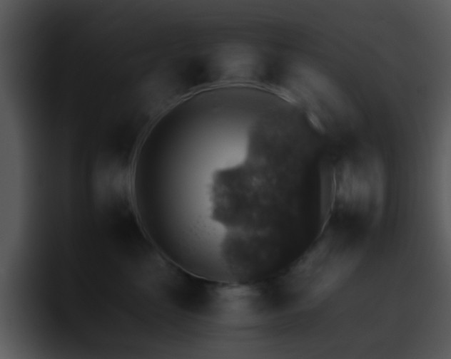 X0000095670669200801081210