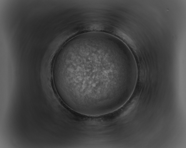 X0000095670673200801081209