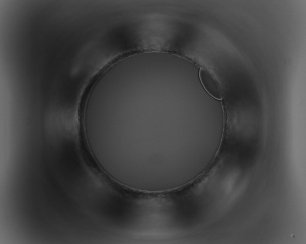 X0000095670674200801081209