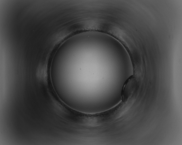 X0000095670677200801081209