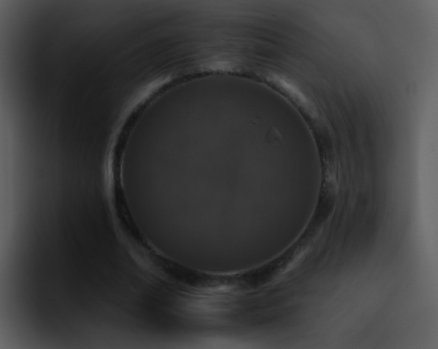 X0000095670678200801081209