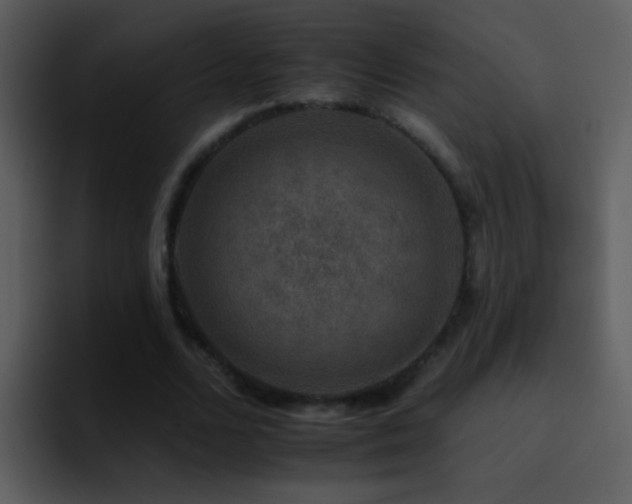 X0000095670680200801081209
