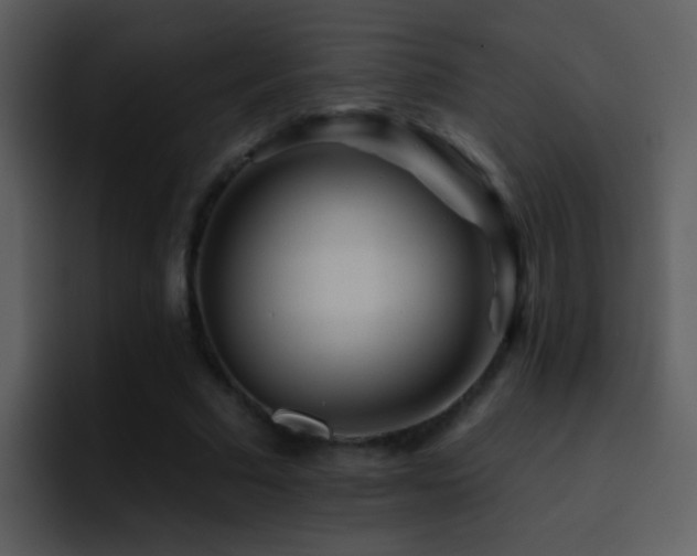 X0000095670681200801081209