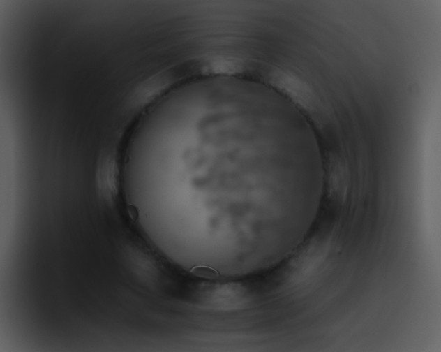 X0000095670683200801081209
