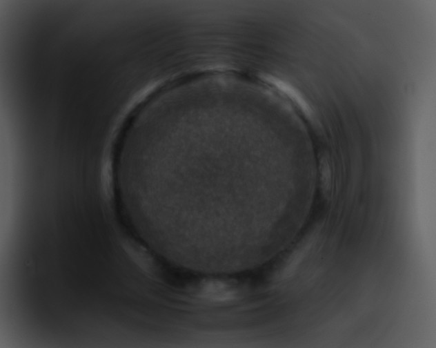 X0000095670684200801081209