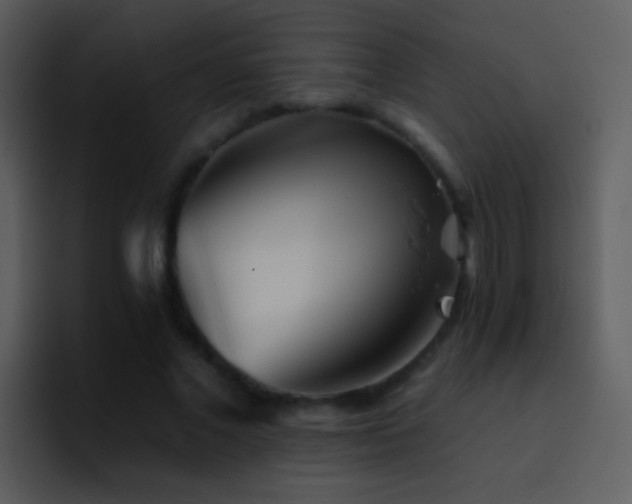 X0000095670685200801081209