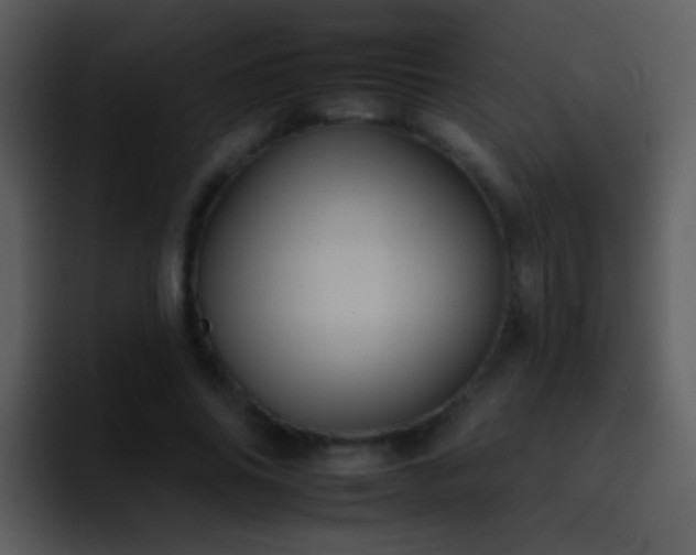 X0000095670686200801081209