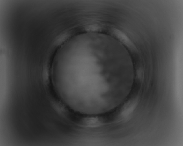 X0000095670687200801081209
