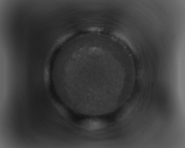 X0000095670688200801081209