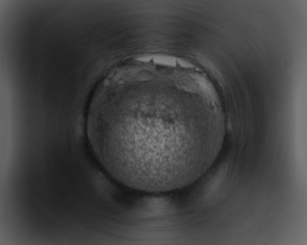 X0000095670689200801081209