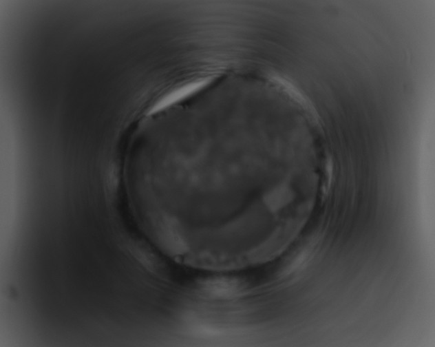 X0000095670691200801081209