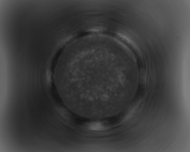 X0000095670692200801081209