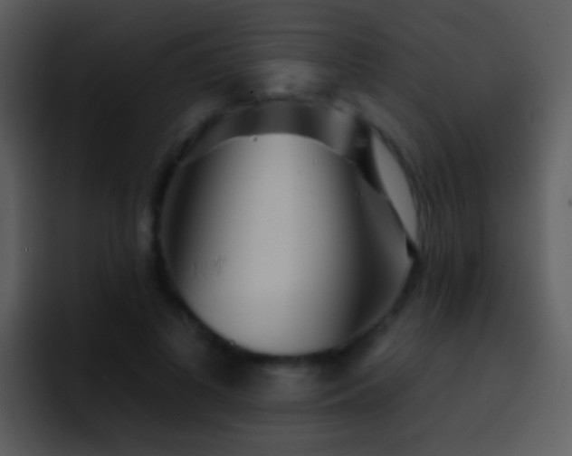 X0000095670693200801081209