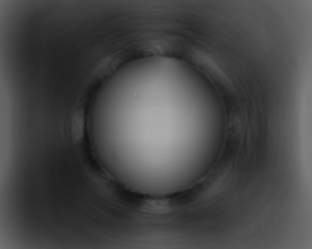 X0000095670694200801081209