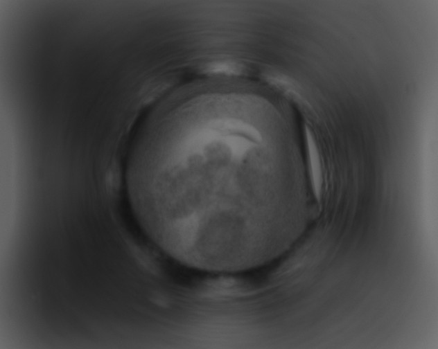 X0000095670695200801081209